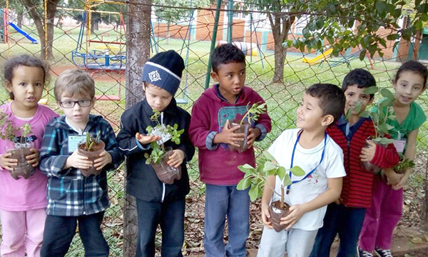 Escolas Municipais De C Ndido Mota Realizam Exposi O Sobre Meio