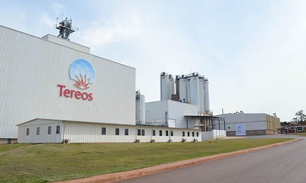 Tereos Amido & Adoçantes Brasil conquista certificação Great Place To ...